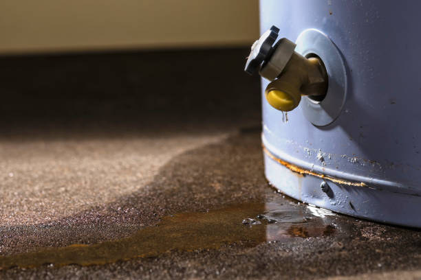 Best Local water damage restoration  in Park Hills, KY