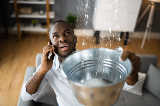 Best Water damage restoration near me  in Park Hills, KY