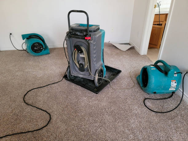 Best Sewage cleanup and water damage restoration  in Park Hills, KY