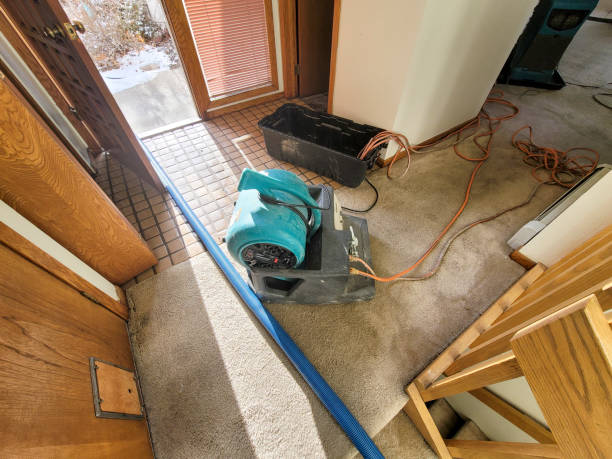 Best Flood damage cleanup  in Park Hills, KY