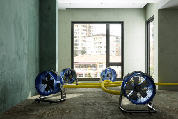 Best Residential water damage restoration  in Park Hills, KY